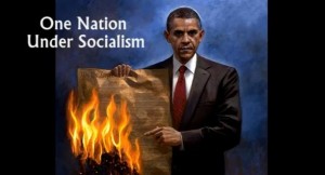 obama-constitution